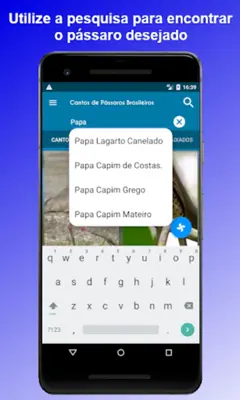 Brazilian's birds sounds android App screenshot 0