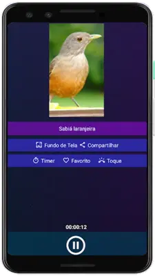 Brazilian's birds sounds android App screenshot 10