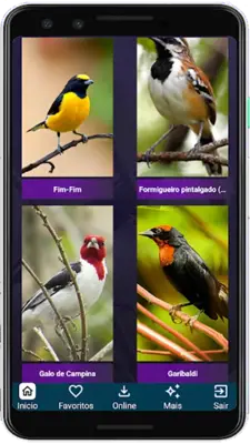 Brazilian's birds sounds android App screenshot 11