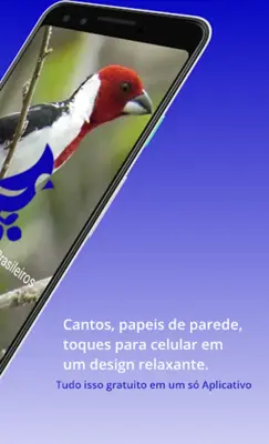 Brazilian's birds sounds android App screenshot 12