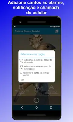 Brazilian's birds sounds android App screenshot 1