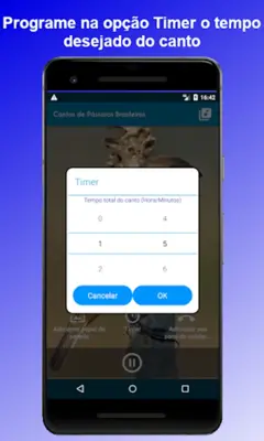 Brazilian's birds sounds android App screenshot 2