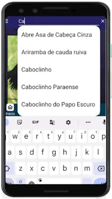 Brazilian's birds sounds android App screenshot 6