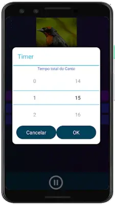 Brazilian's birds sounds android App screenshot 7