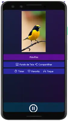 Brazilian's birds sounds android App screenshot 8